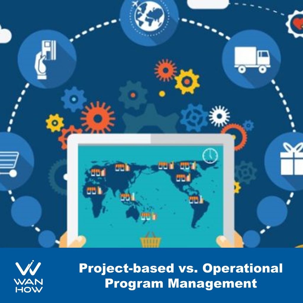 Operational vs. project-based program manager