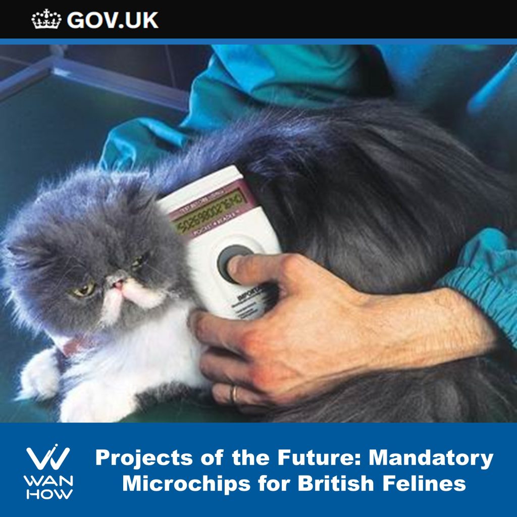 Projects of the Future: Mandatory Microchips for British Cats