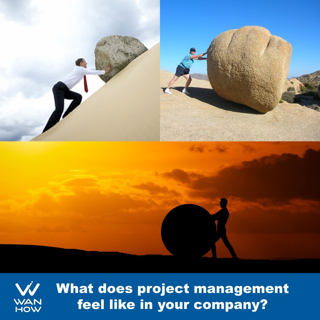 What does project management feel like in your company's culture?