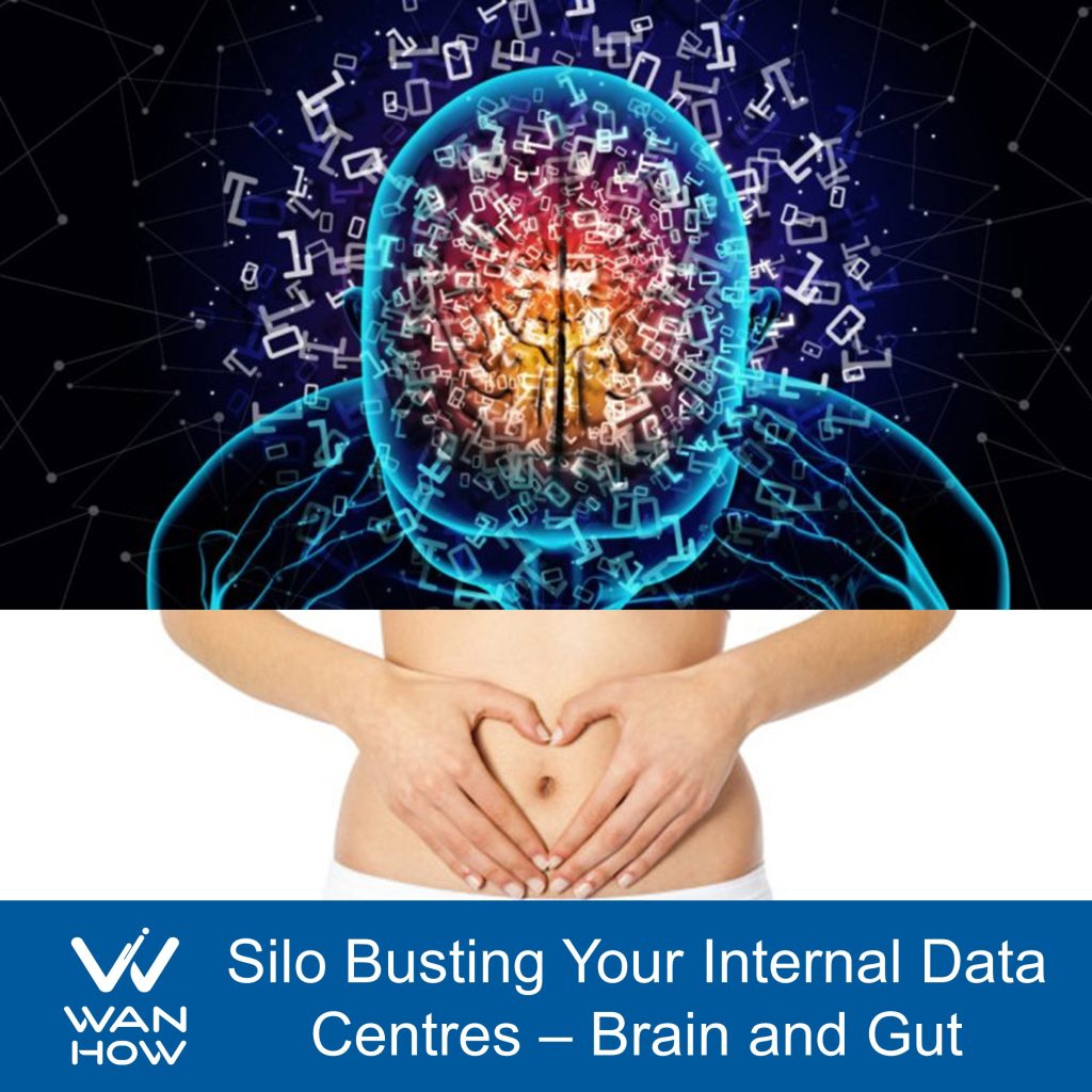 Silo busting your internal data centres: brain and gut