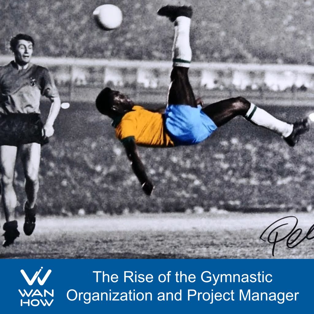 The Rise of the Gymnastic Organization and Project Manager