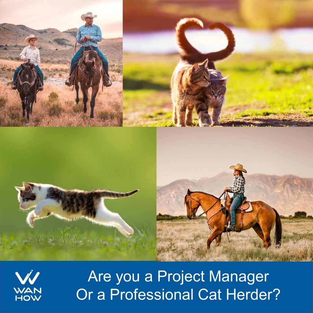 Are you a project manager or a professional cat herder?