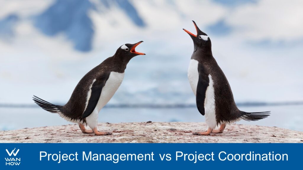 project management vs project coordination
