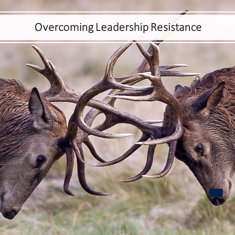 Overcoming Leadership Resistance