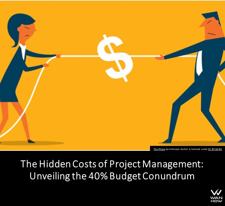 optimizing project management costs