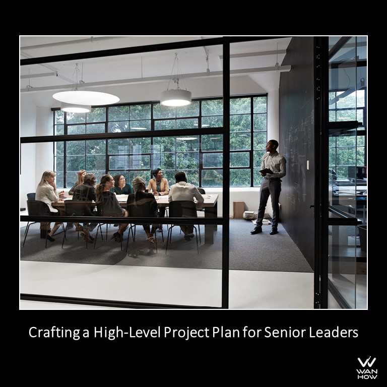 strategic project management for senior leadership teams